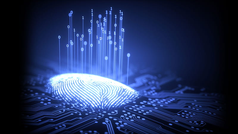 Bireysel Vatandaş E İmzayı Nerede Kullanır? Günlük Hayattan Örnekler